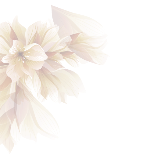 Shree Shree Professional Beuty Parlour & Academy