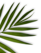 Shree Shree Professional Beuty Parlour & Academy